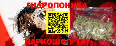гашик Ливны