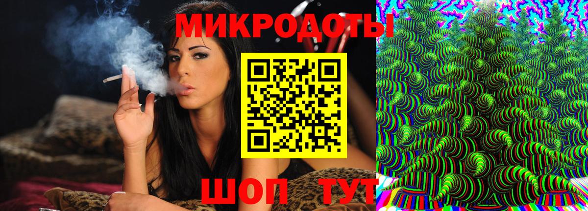 Псилоцибиновые грибы Psilocybine cubensis Екатеринбург