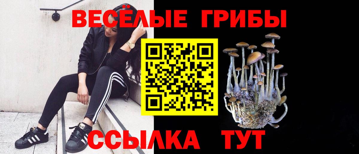Псилоцибиновые грибы GOLDEN TEACHER  Вход с VPN  Екатеринбург 